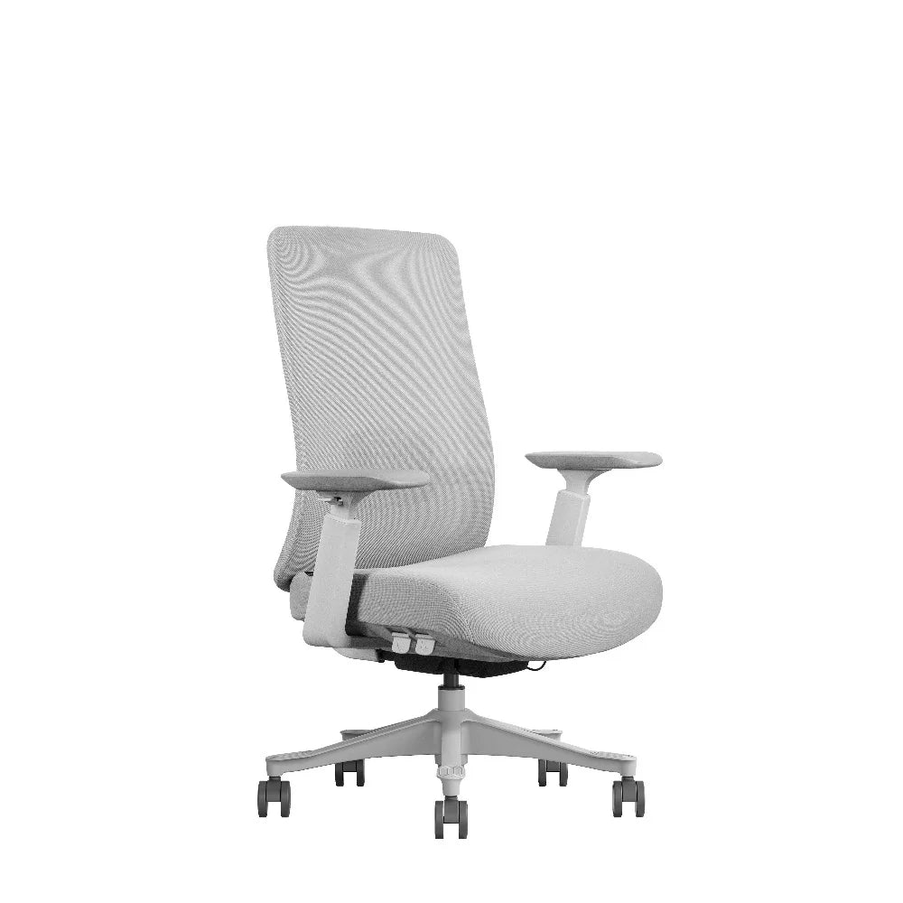 COOLBABY Ergonomic AKIRA Office Chair - Light Grey & Black, BIFMA Certified, 3D Adjustable Armrest - COOLBABY