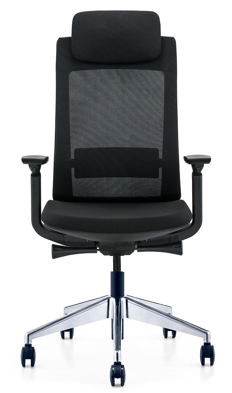 High Back Multifunction Ergonomic Office Chair, Adjustable Headrest, Lumbar Support