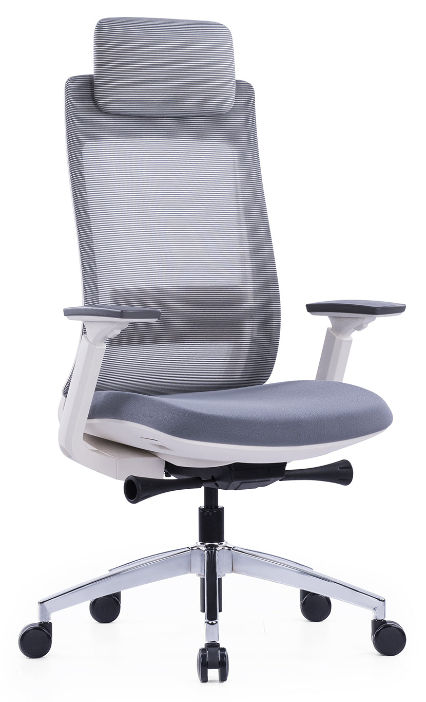 High Back Multifunction Ergonomic Office Chair, Adjustable Headrest, Lumbar Support