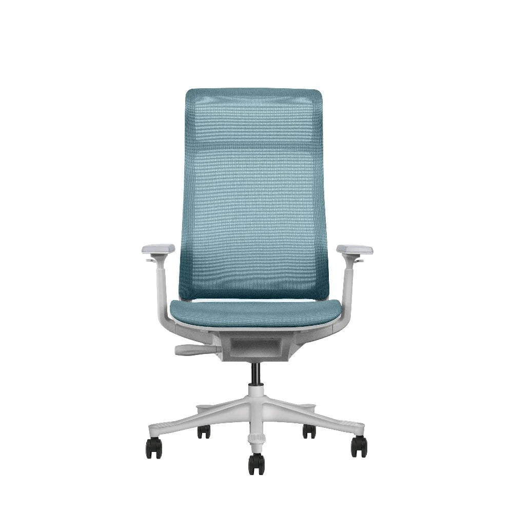 COOLBABY GIO Ergonomic Office Chair: Premium Comfort & Support for All-Day Productivity - COOLBABY