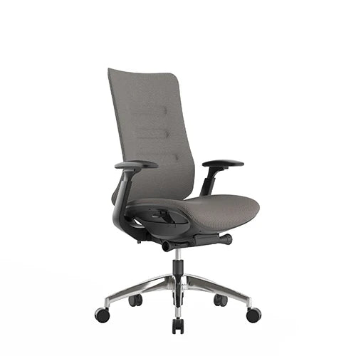 COOLBABY iCloud Mid-Back Ergonomic Office Chair with Adjustable Features - COOLBABY