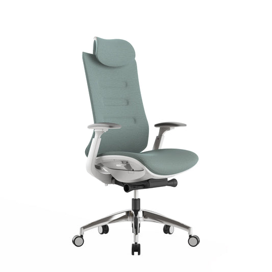 COOLBABY Ergonomic Office Chair with Adjustable Features, Fabric Seat, and Backrest - COOLBABY