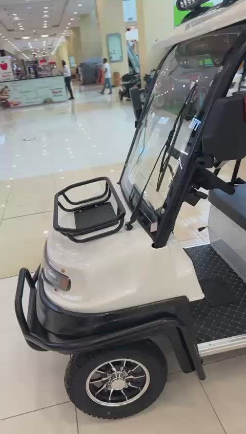 Vilra BG-06 Stylish 6-Seater Electric Golf Cart Buggy with 60V Power