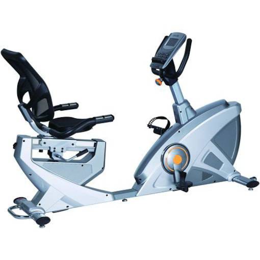 SkyLand Recumbent Bike EM-1543, Silver - COOLBABY