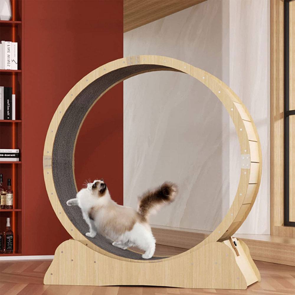 Whisker Workouts: The Ultimate Cat Wheel for Active Felines! - COOLBABY