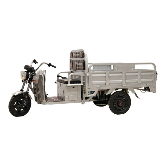 Chenxn Electric Cargo Tricycle, 1200W, Silver - COOLBABY