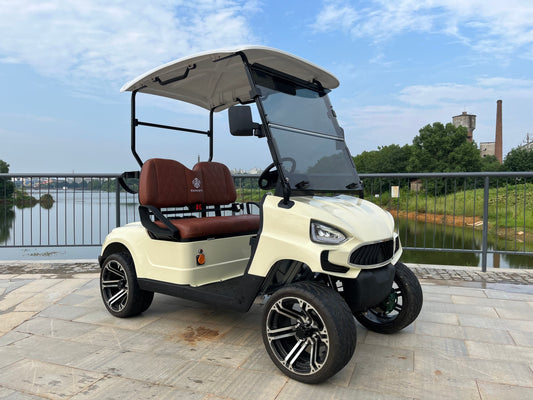 COOLBABY TXV20: A 48V 2 Passenger Golf Cart Durable Buggy Experience - COOL BABY