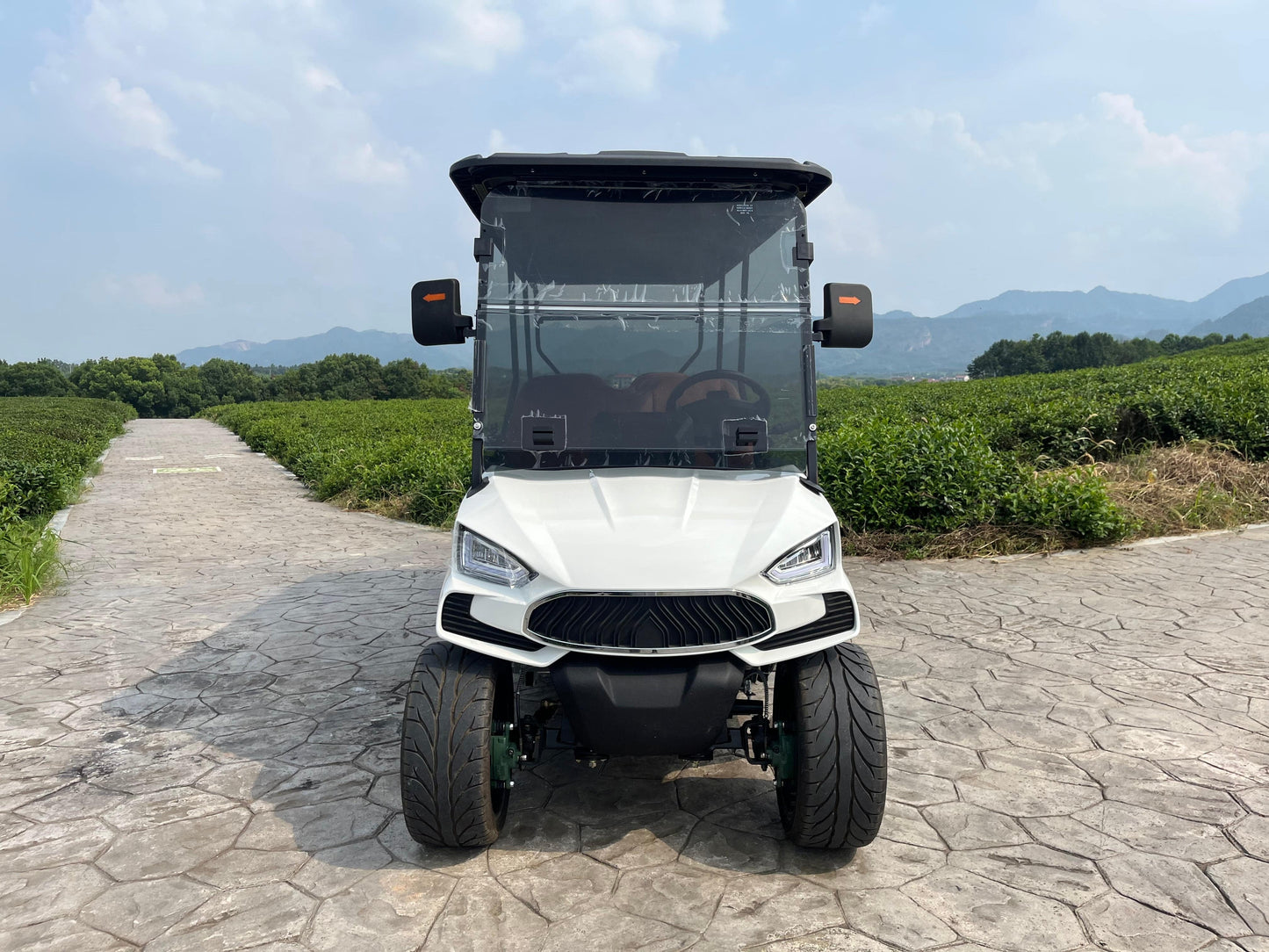 COOLBABY TXV44 Unleash Luxury and Power with 6 Passenger Golf Cart for Supreme Performance - COOL BABY