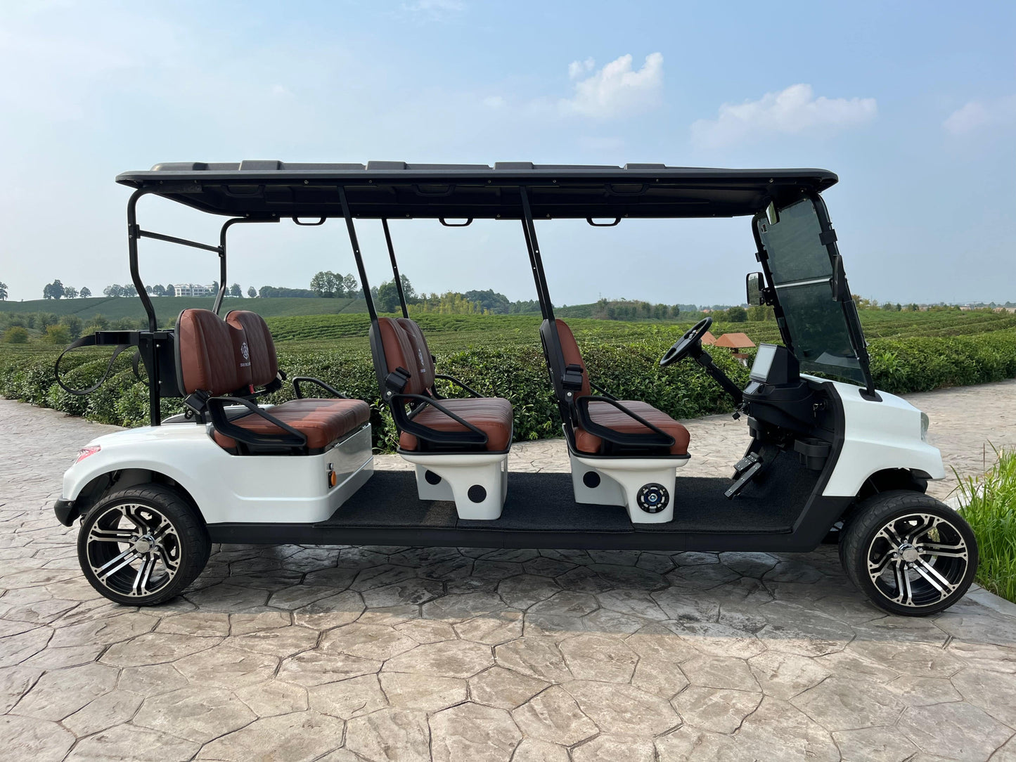 COOLBABY TXV44 Unleash Luxury and Power with 6 Passenger Golf Cart for Supreme Performance - COOL BABY